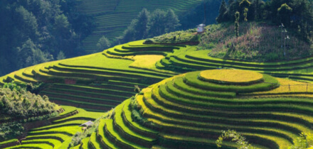 Condition d'obtention de visa pour les détenteurs de passeport$ s voyageant vers$ s