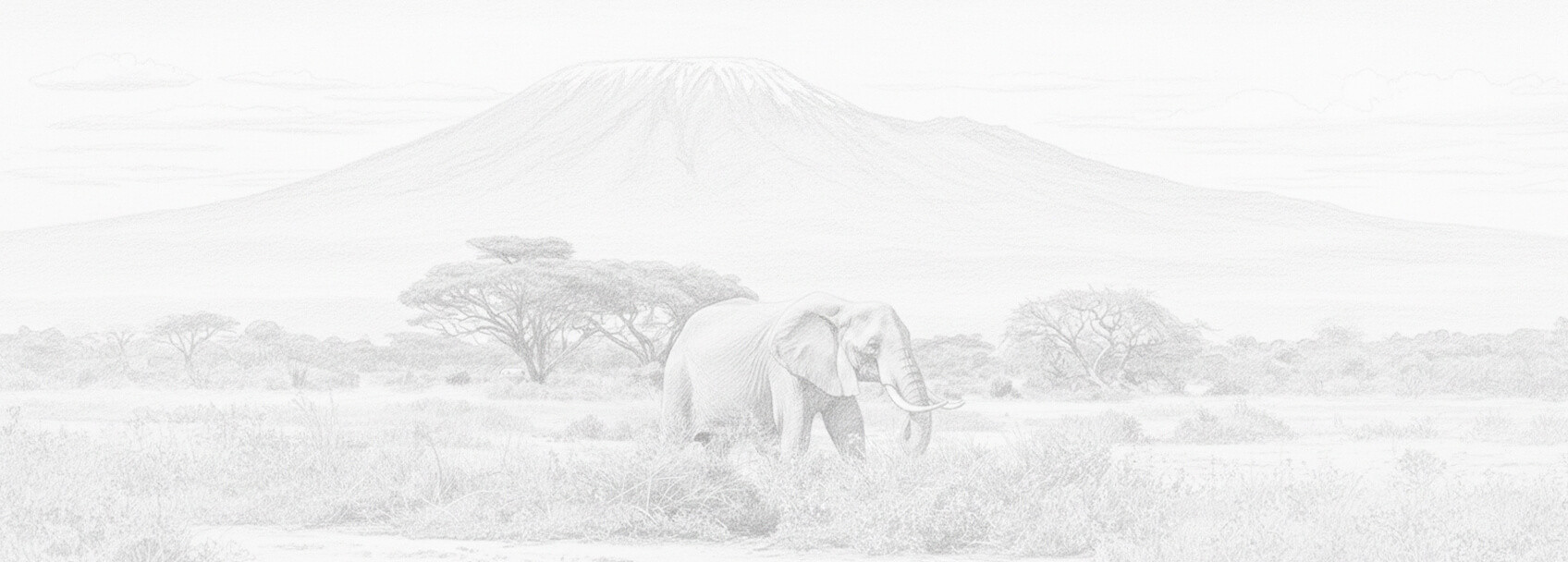 Demande de visa pour Cameroun et conditions d'obtention